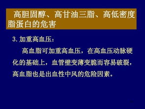 營養科技雙驅動 功能食品與招生服務如何助力健康與學業
